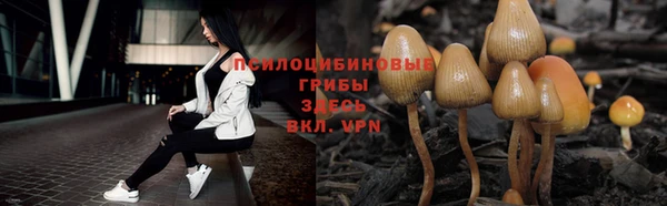 прущая мука Богородск