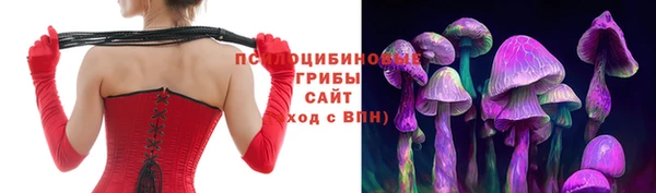 твердый Богородицк