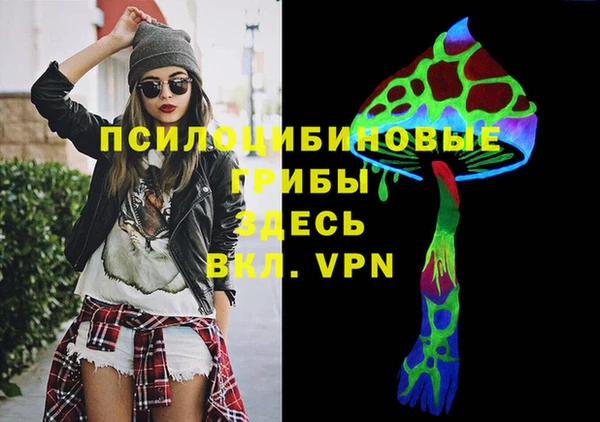твердый Богородицк