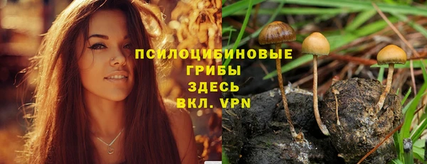 твердый Богородицк