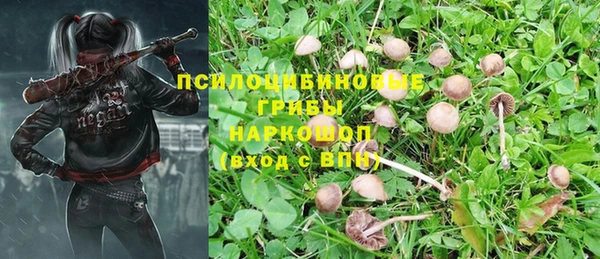 прущая мука Богородск